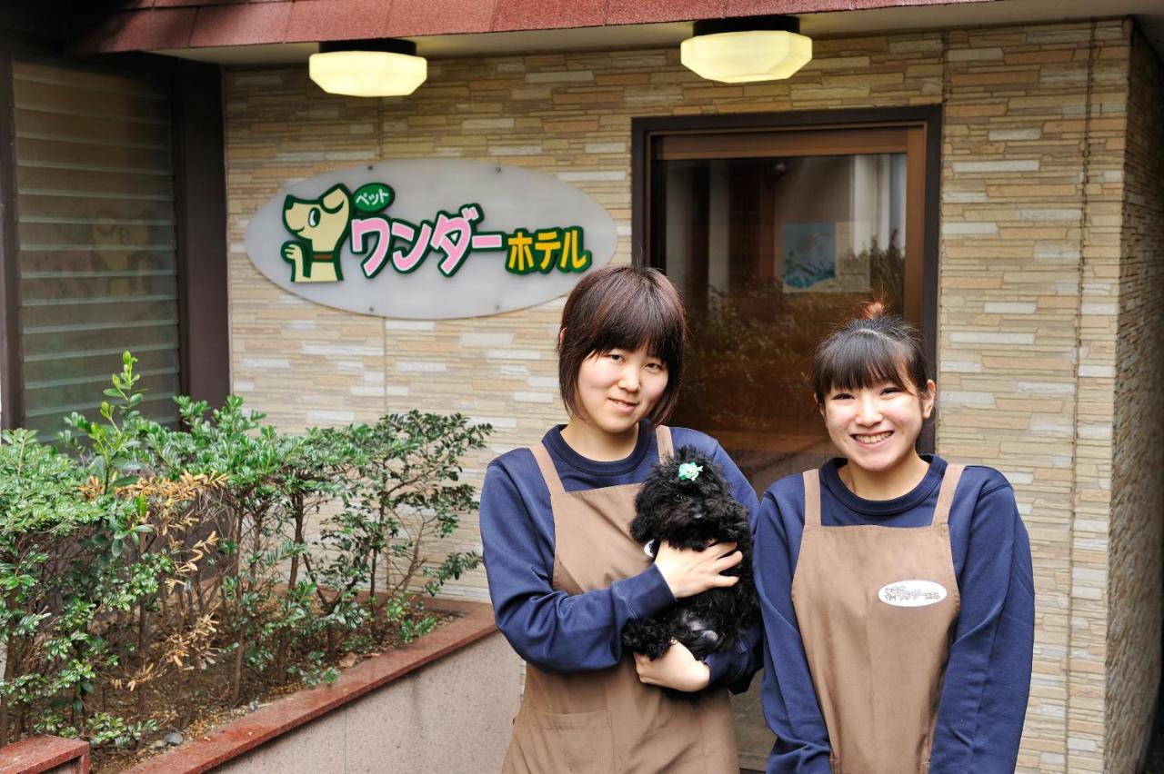 Mikazuki Sea-Park Hotel Awa Kamogawa Exterior foto