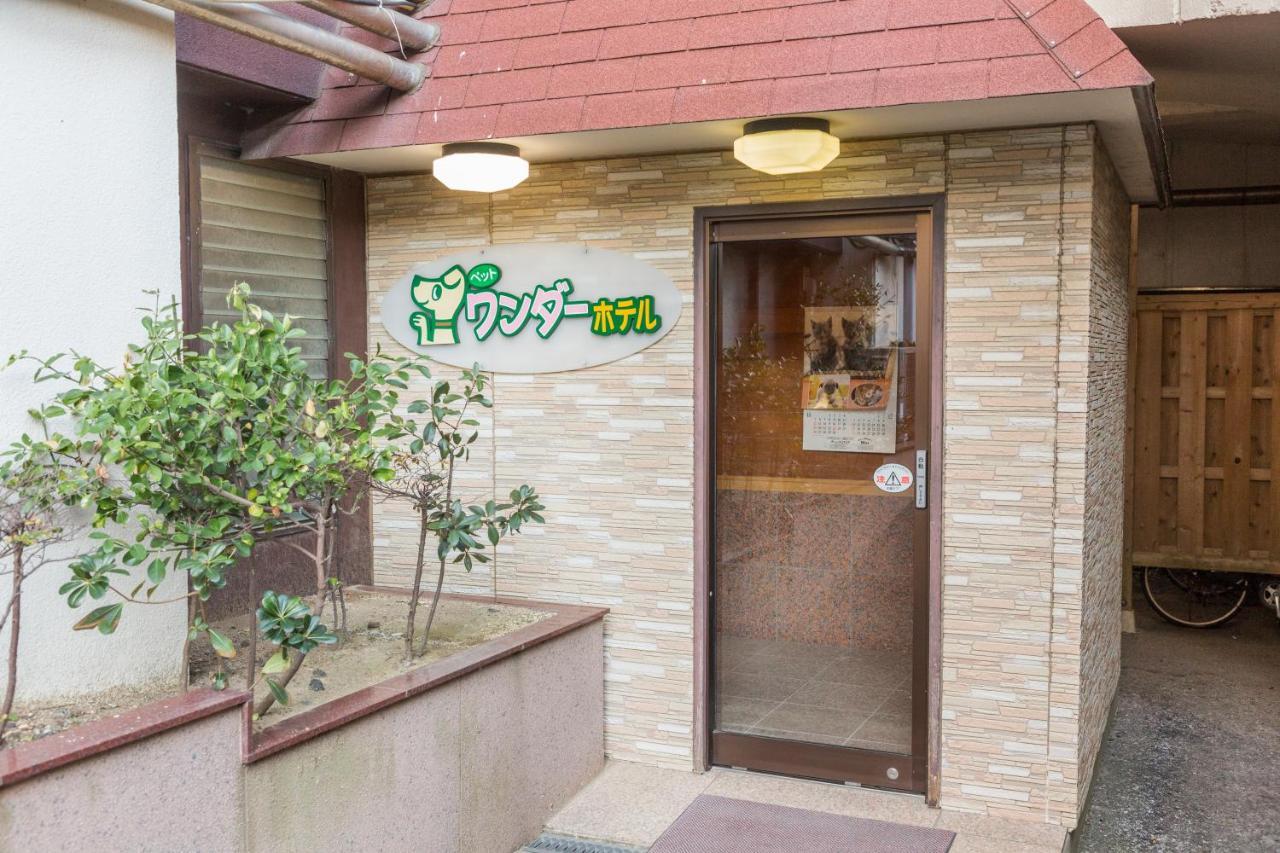 Mikazuki Sea-Park Hotel Awa Kamogawa Exterior foto